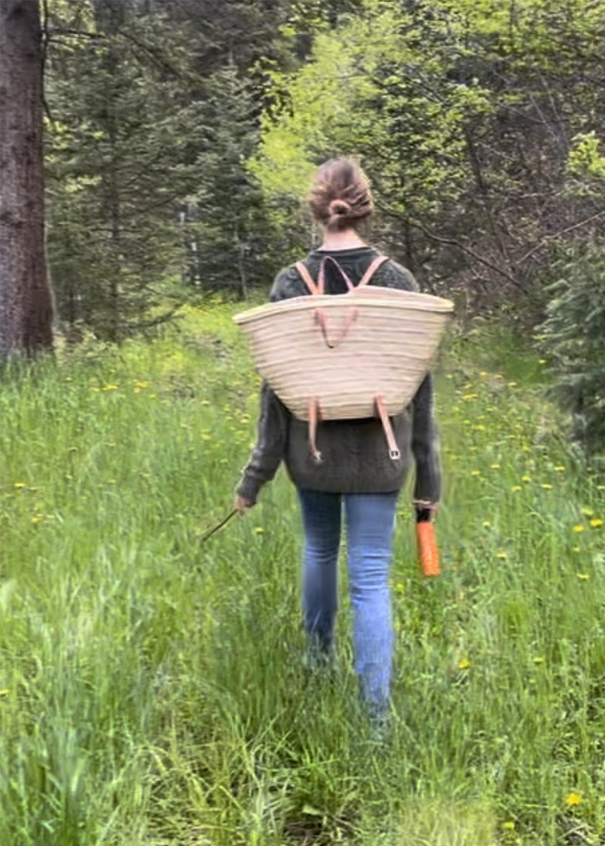 Family Reunion Activities